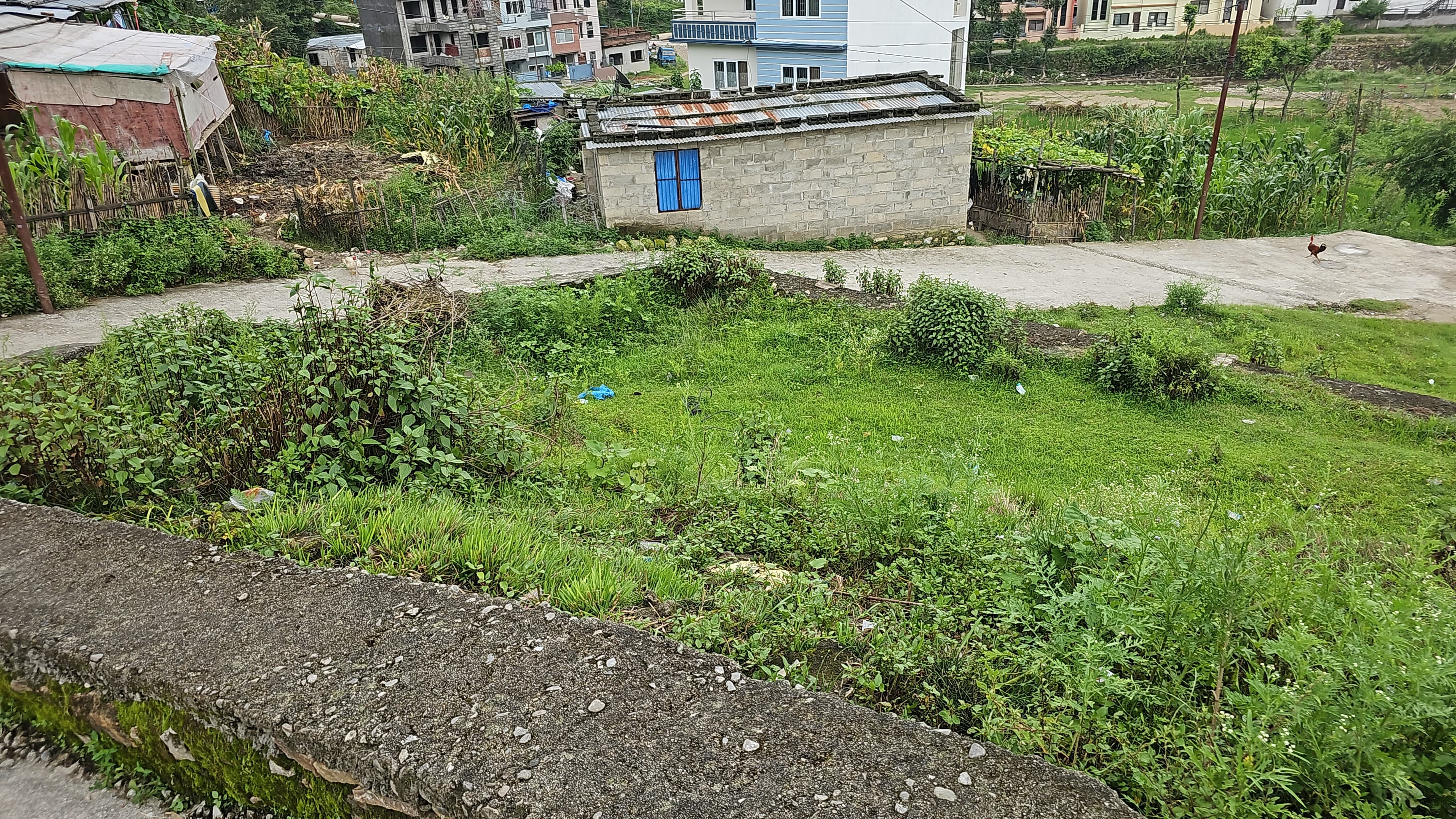 Picture of Nagarjun Municipality, Bagmati